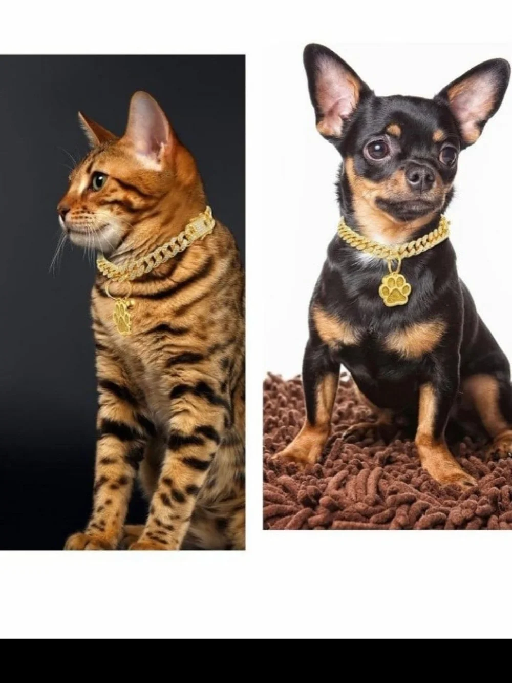 Gold Paw Charm Cuban-Style Dog/ Cat Collar - Sparkling Gold